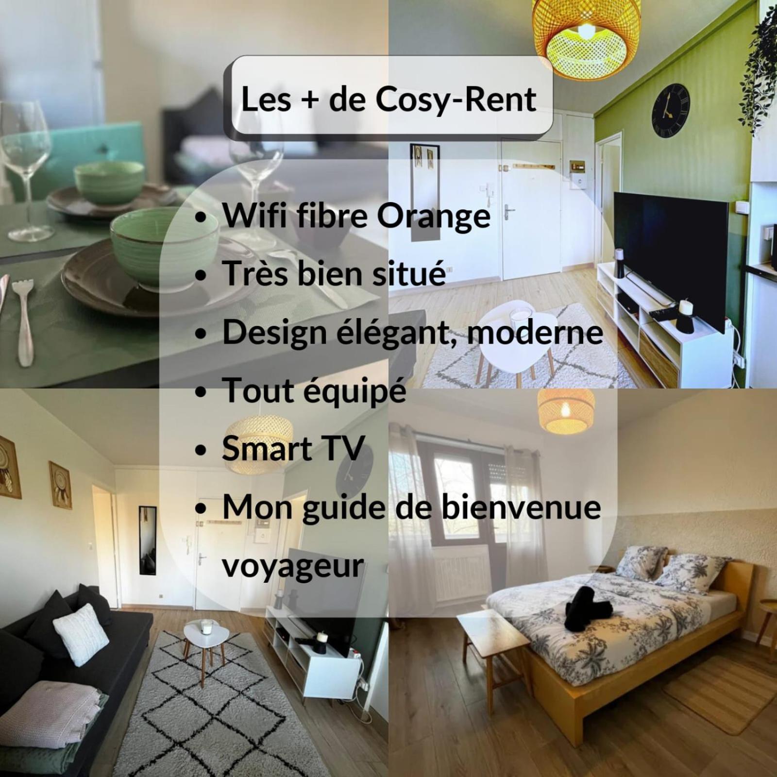 Cosy Rent Strasbourg Appartement Wifi Terrasse Exteriör bild